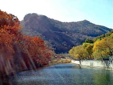 新澳天天开奖资料大全旅游团，苹果树最新品种